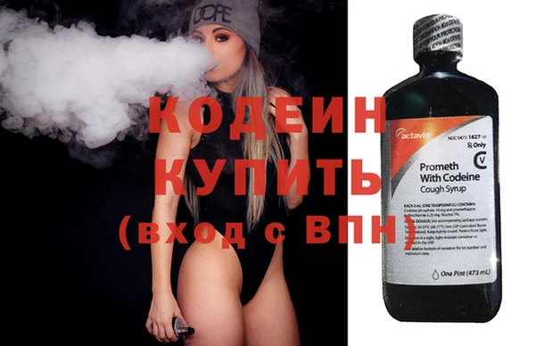 PSILOCYBIN Алзамай