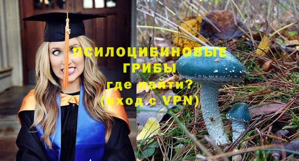 прущие грибы Алексин