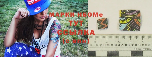 PSILOCYBIN Алзамай