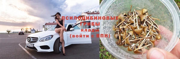 PSILOCYBIN Алзамай