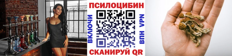 где купить наркотик Асбест Галлюциногенные грибы Psilocybe